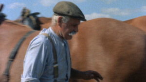 Requiem for a Village