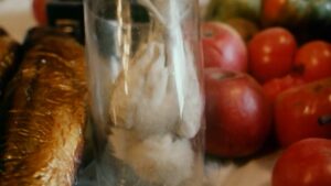 Birds, Orphans and Fools