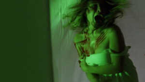 The Spider Labyrinth