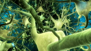 What the #$*! Do We (K)now!?