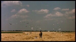 Very Happy Alexander