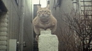 Noriko’s Dinner Table