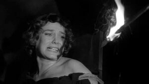 Fellowship of the Frog