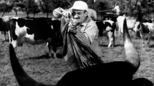 Taxi, Trailer and Bullfight