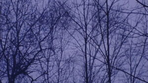 Everything Everywhere Again Alive