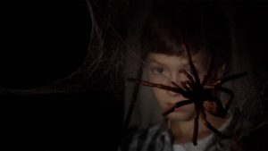 The Spider Labyrinth