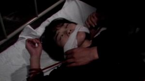 Guinea Pig Part 2: Flower of Flesh and Blood