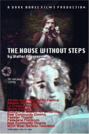 The House Without Steps