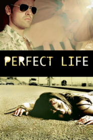 Perfect Life
