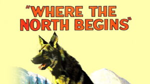 Where the North Begins