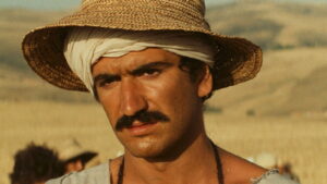 Chronicle of the Years of Fire