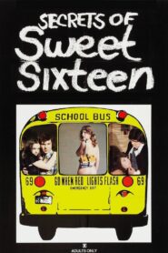 Secrets of Sweet Sixteen