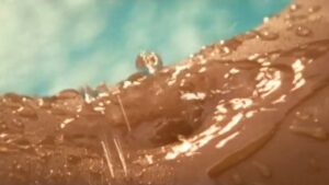 Playboy: Wet & Wild V