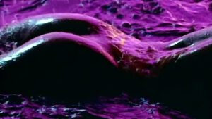 Playboy’s Wet & Wild