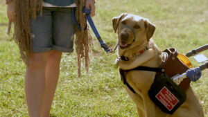 Adele and Everything After