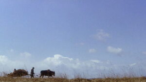 Zatoichi’s Revenge