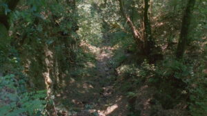 These Encounters of Theirs