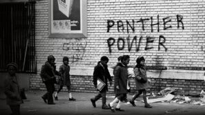 The Black Panthers: Vanguard of the Revolution