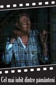 The Earth’s Most Beloved Son