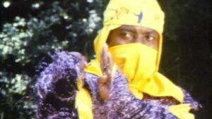 Ninja Operation – Knight and Warrior