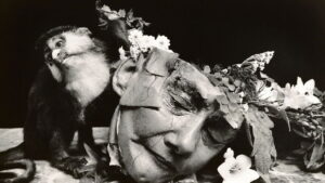 Witkin & Witkin