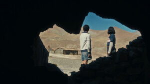 The Mysterious Gaze of the Flamingo