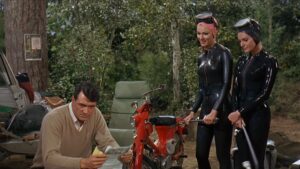 Man’s Favorite Sport?