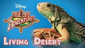 The Living Desert