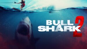 Bull Shark 2