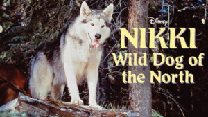 Nikki, Wild Dog of the North