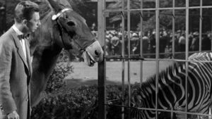 Francis Covers the Big Town