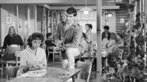 Friends and Neighbours