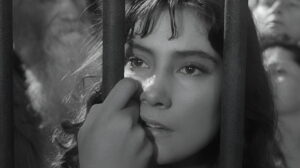 The Cranes Are Flying