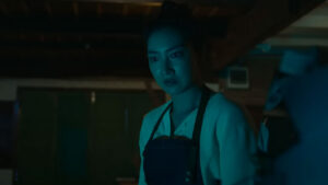 Night of the Killer Bears