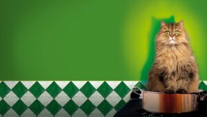 Mr. Blake at Your Service!