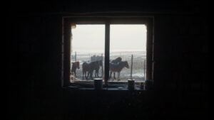 To Kill a Mongolian Horse