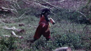 The Rare Blue Apes of Cannibal Isle