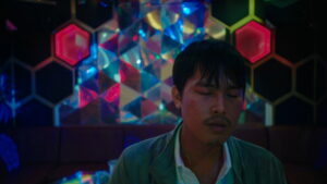 Inside the Yellow Cocoon Shell