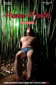 Human Hibachi: The Beginning