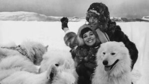 Don’t Raise the Bridge, Lower the River