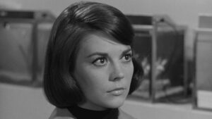 Love with the Proper Stranger