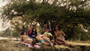 The Mysterious Gaze of the Flamingo