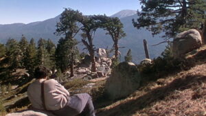 The Shepherd of the Hills