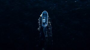 The Carman Family Deaths