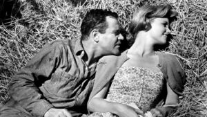 Days of Wine and Roses