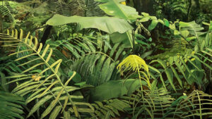 The Illusion of Abundance