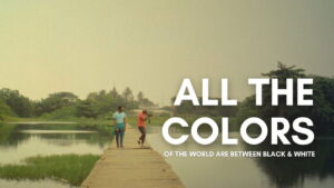 All the Colours of the World Are Between Black and White