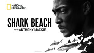 Shark Beach with Anthony Mackie