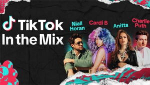 TikTok: In the Mix