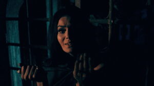 The Whip and the Body